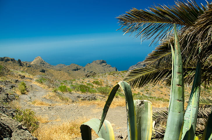 hory, Expedícia, Príroda, Tenerife, krása, Príroda, Dovolenka