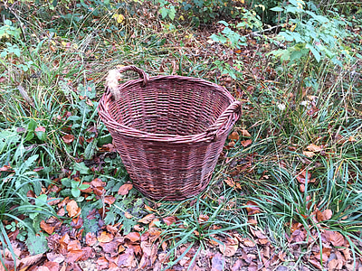 cesta, del pasto, marrón, tejido, suelo del bosque, manijas de, mimbre