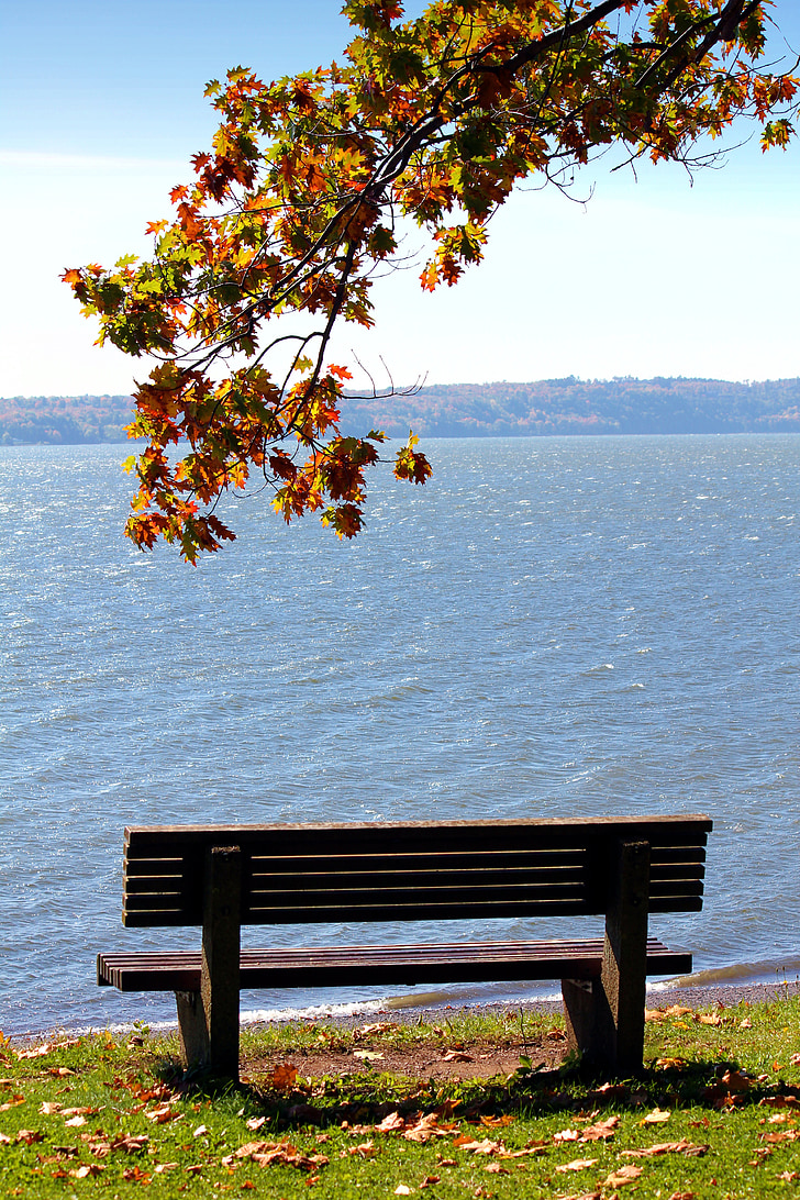 fall, québec, photography, lake, landscape, bench
