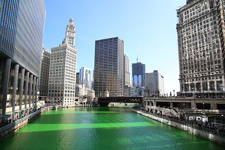 Chicago, Chicago-floden, St Patricks day, Downtown, staden, vatten, resor