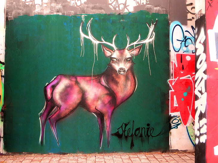 Graffiti, Hirsch, hjorthorn, väggmålning, gatukonst, fasadfärg, väggen