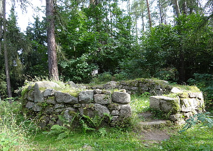 historie, Tsjekkia, stein, skog, arkitektur, monument, ruiner