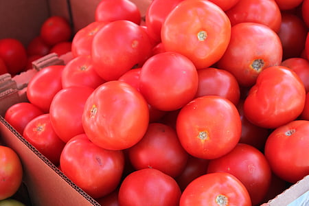 tomaatti, vihannekset, hedelmät, terve, orgaaninen, luonnollinen, ravitsemus