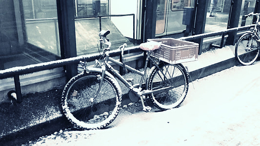 cykel, sne, vinter, sneet, mountainbike, hjulet, kolde