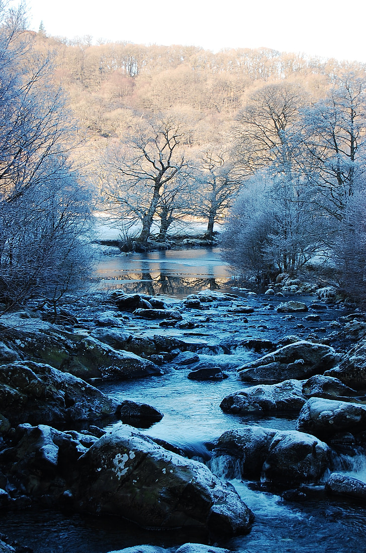 paisatge, neu, gel, blau, blanc, arbres, gelades