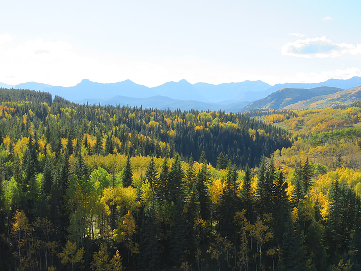 Les, hory, podzim, Příroda, krajina, stromy, Kanada