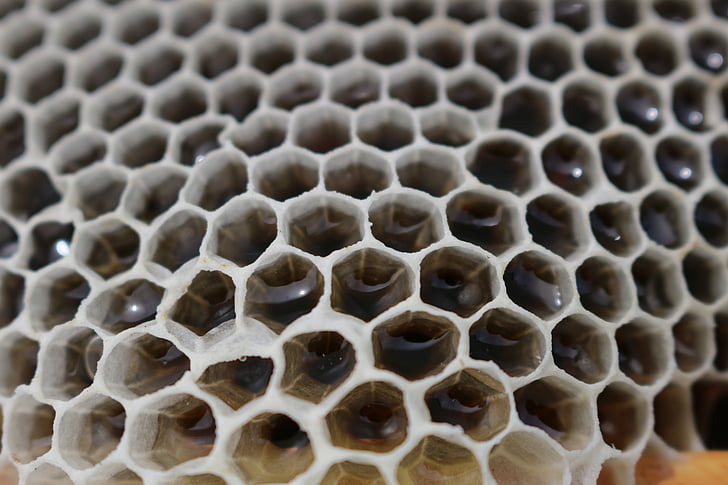 med, reflexie, sladkosť, včelí plást, úľ, detail, šesťuholník