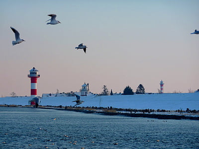 elbe, lighthouse, beacon, nature, seafaring, navigation, water