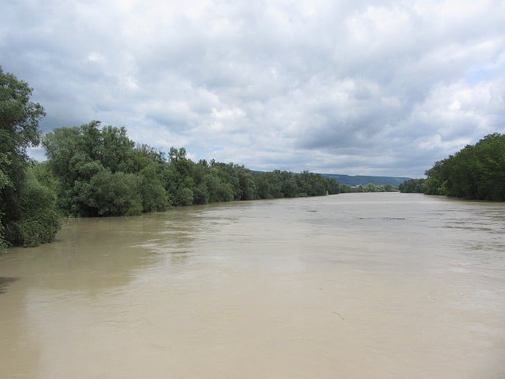 high water, river, tree, landscape, brown, sky
