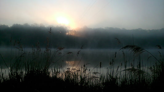 sunrise, lake, nature, in the morning, early, fog, river