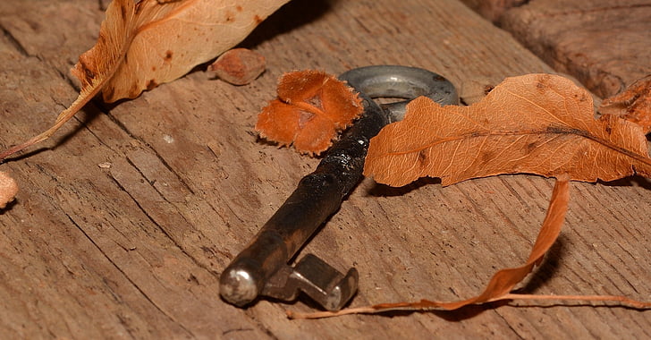 key, old, metal, wood, ground