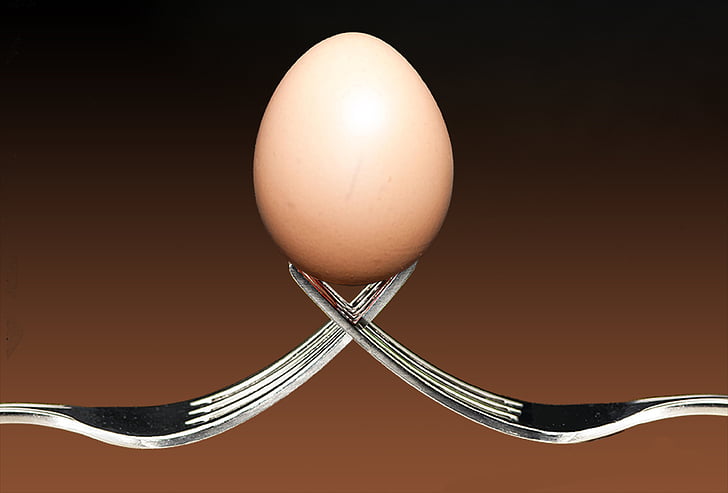 forks, egg, food, macro, close-up, no people, time