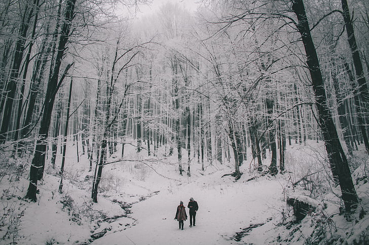 homem, mulher, caminhando, neve, revestido, estrada, grayscaled