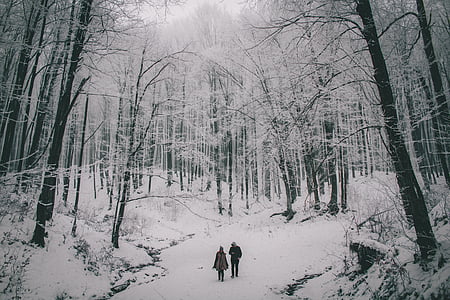 uomo, donna, a piedi, neve, rivestito, strada, scala di grigi