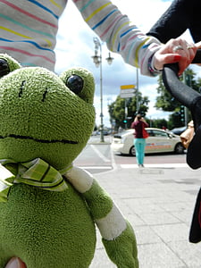 the frog, żabka, the mascot, plush, tour, pet, hands