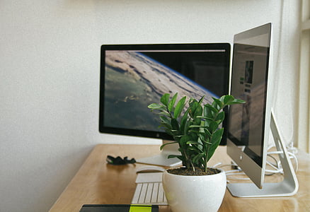 computers, monitors, technology, desk, internet, online, keyboard