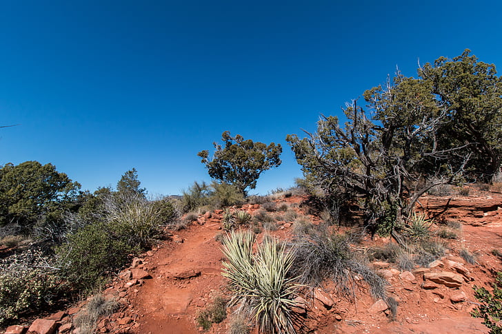 Sedona, sentier, désert, Arizona, paysage, randonnée pédestre, rouge