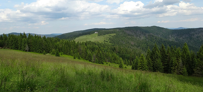 caldo, montagne, escursionismo, sentiero escursionistico, paesaggio, Polonia