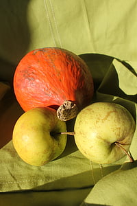 citrouille, pomme, fruits, automne, décoration, fruits, alimentaire