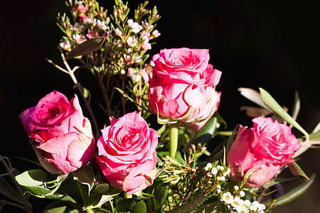 rosa, bouquet, materiali compositi, Blossom, Bloom, autunno, natura