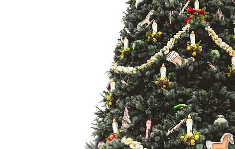 verde, frondeggiato, Natale, albero, candela, luce, decorazioni