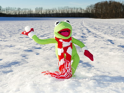 ερημίτης, βελούδινα, παιχνίδι, χιόνι, Kermit, βάτραχος, χιόνι μπάλα