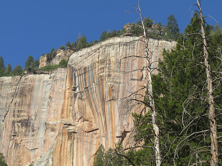 Grand canyon, severní okraj, geologie, Rock, Národní, Příroda, Divočina