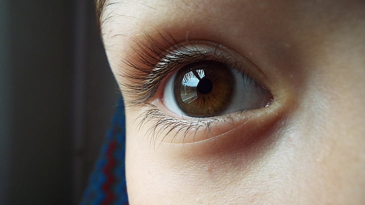 ull, marró, ulls marrons, Iris, bellesa, noia, imatges