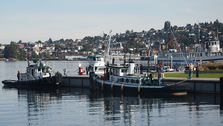 Lake union, Seattle, träbåt, gammal båt, båt, fartyg, fiske