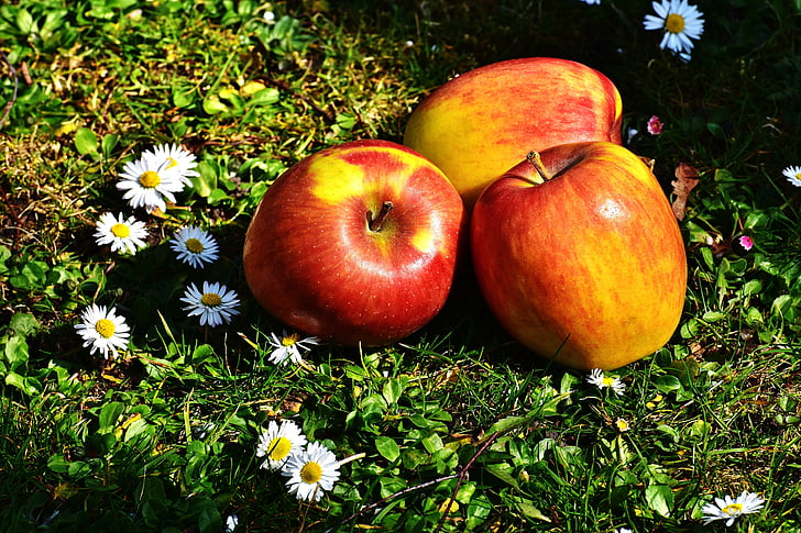 яблоко, фрукты, спелый, здоровые, витамины, красный, питание