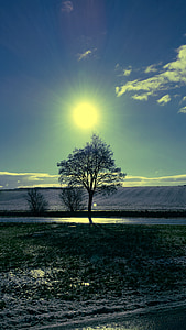 Солнце, дерево, небо, настроение, назад свет, Природа, Вайнфиртель