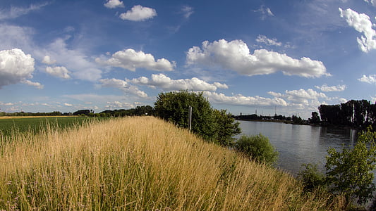 景观, 莱茵河, 云彩, 字段, 夏日的天空, 堤防, 河