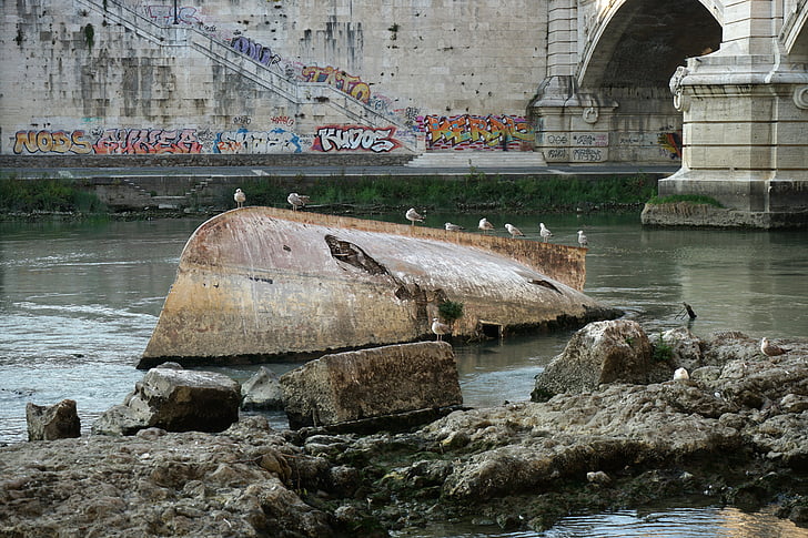 rome, wreck, tiber, river, italy, bridge, gulls