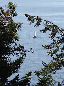 sailboat, ocean, shore, peaceful, calm, calm sea, water