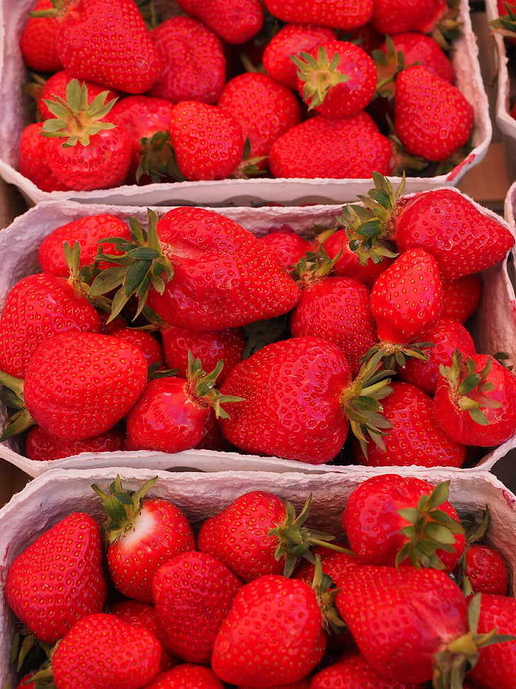 fraises, fruits, rouge, fruits, alimentaire, Sweet, délicieux