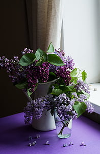 ungu, bunga, mekar, Blossom, hijau, daun, alam