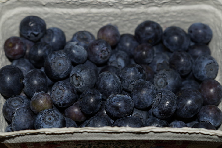 블루베리, 딸기, 셸, 블루, 과일, 맛 있는, 비타민