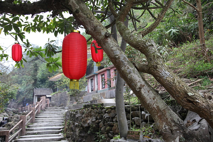 llanterna vermella, arbre, escala, Xinxing, pou de budisme tibetà, Temple, llanterna