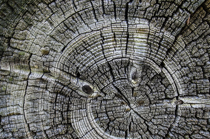 gỗ, nền tảng, vòng tròn, cũ