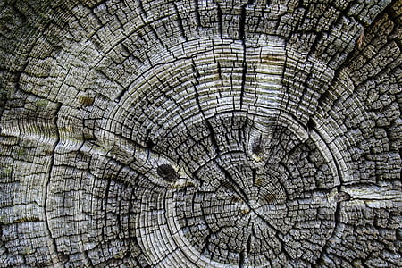дървен материал, фон, кръг, стар