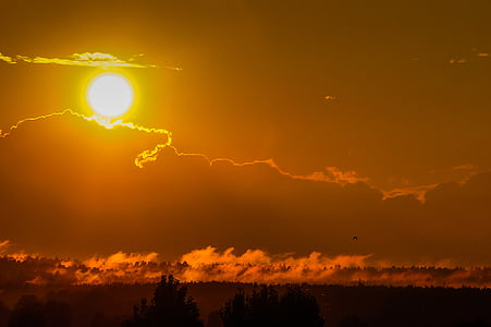 sole, tramonto, estate, arancio, Ucraina, natura, cielo