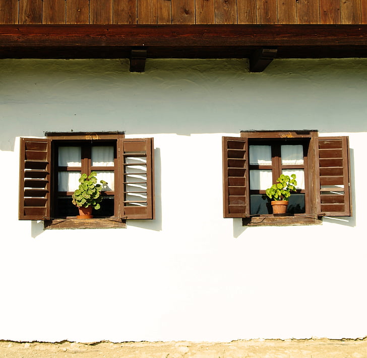 windows, rural, rustic, house, home, flower, old