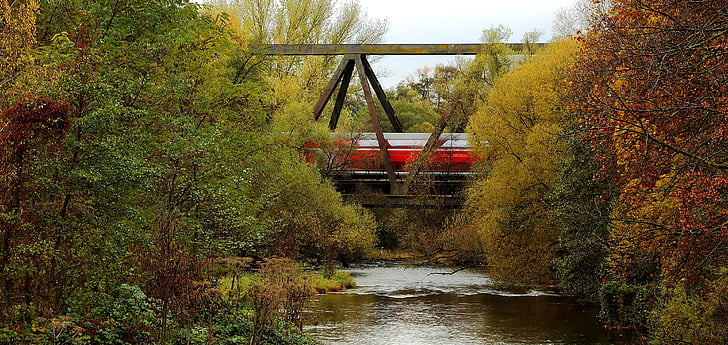 řeka, Most, železniční most, vlakem, podzim, vlak na mostě