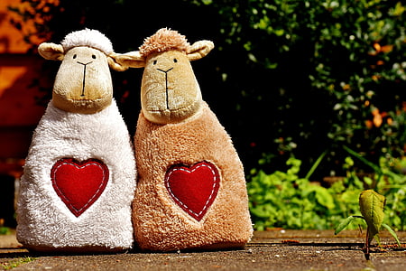 ovce, láska, srdce, deň svätého Valentína, milý, spolu, smiešny