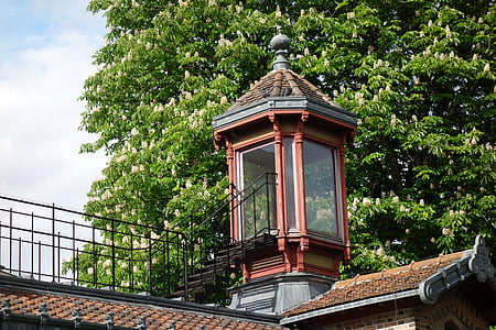 观测塔, 屋顶, 植物园