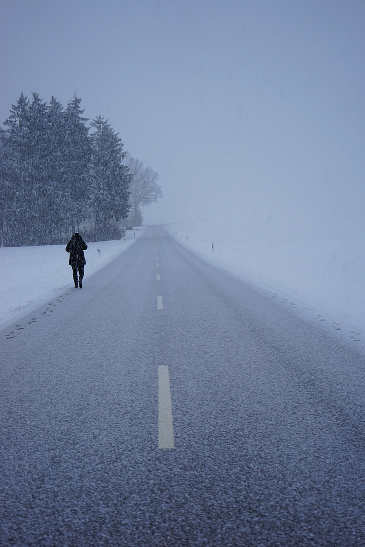 Blizzard, jalan, perjalanan pulang, sendirian, meninggalkan, dingin, orang