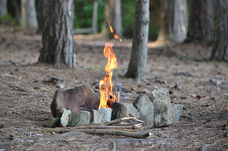 oheň, Les, kameny, Příroda, Bonfire