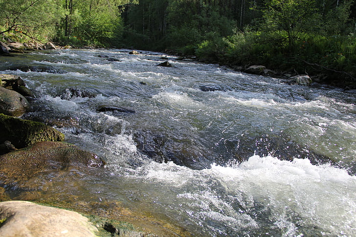 l'aigua, riu, riu de muntanya, divisions, natura, bosc, l'aigua ràpida
