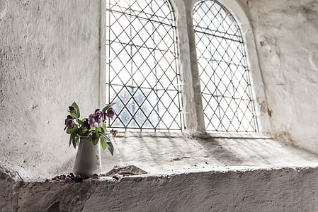 vijolična, petaled, cvet, bela, keramični, vaza, v bližini: