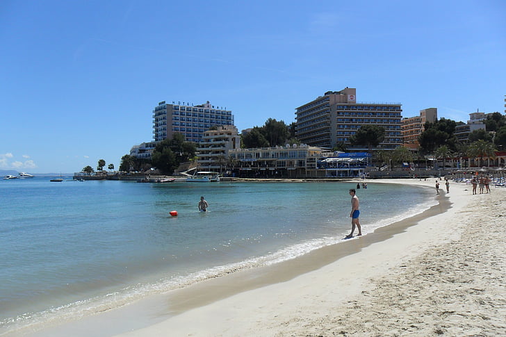 Mallorca, pálmafák, Palma, Beach, homok, tenger, Holiday